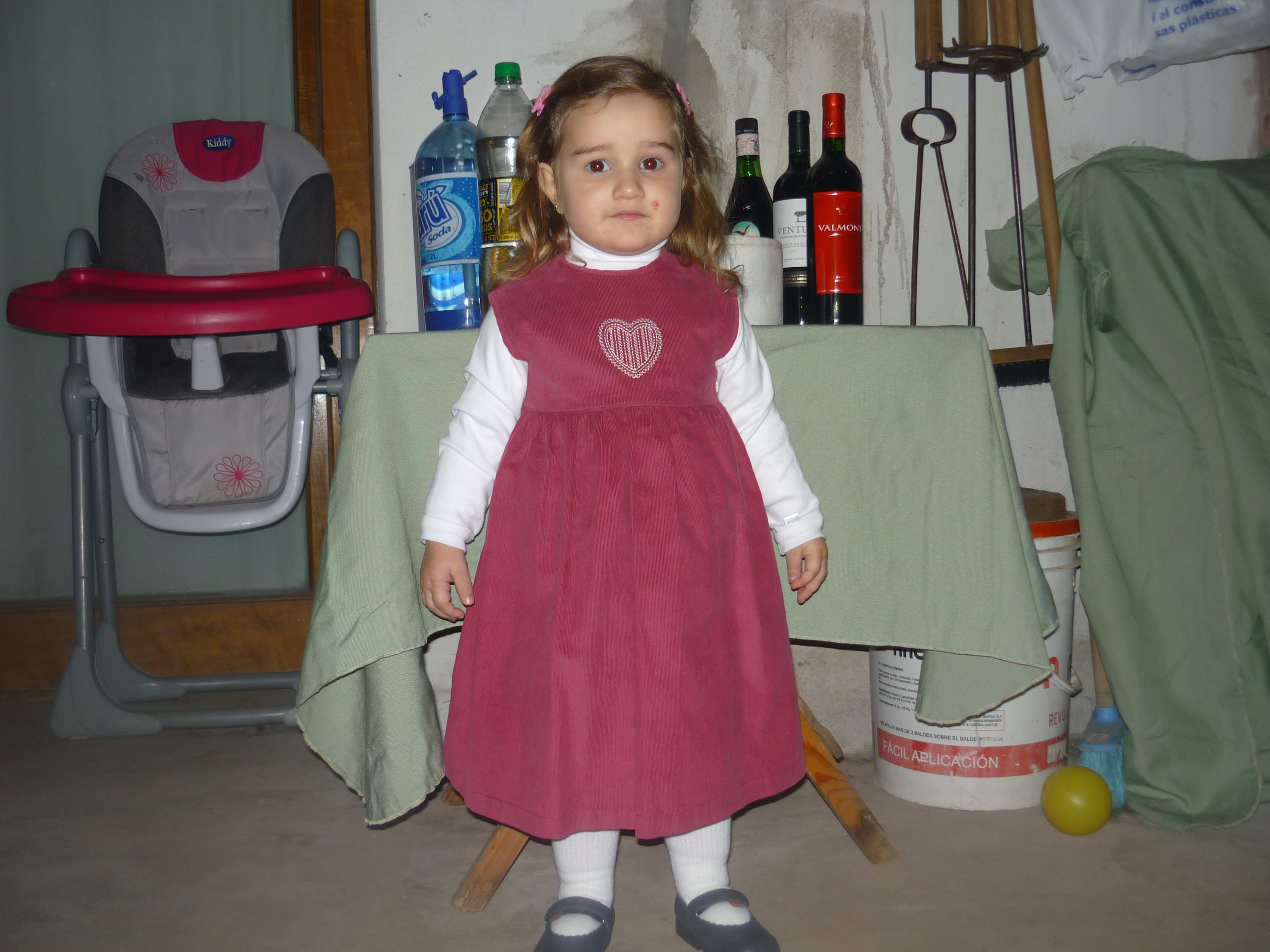 fotos/2012-06-11 - Cumple Nestor Iara/P1020749.JPG